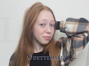 Odettehakey