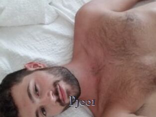 Pj001