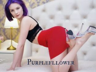 Purplefllower
