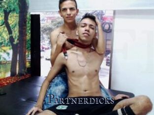 Partnerdicks