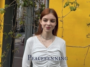 Peacefenning