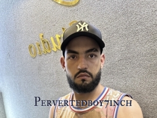 Pervertedboy7inch