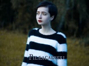 Pileacadieri