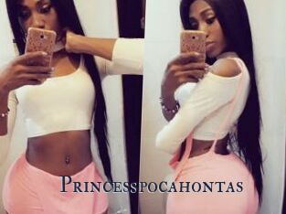 Princesspocahontas