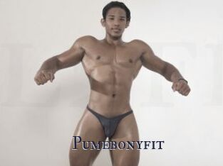 Pumebonyfit