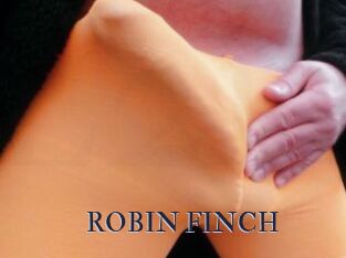 ROBIN_FINCH