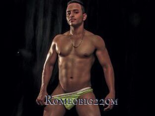 Romeobig22cm