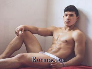 Roybigcock