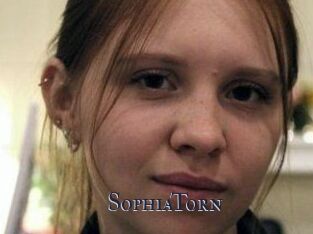 SophiaTorn