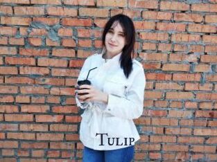 Tulip