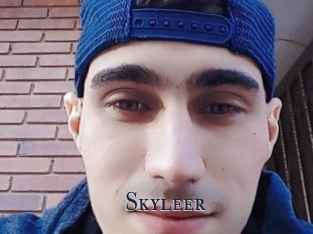Skyleer