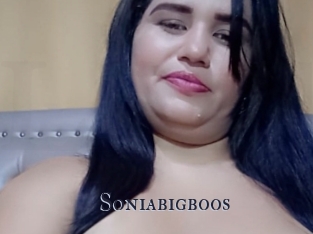 Soniabigboos