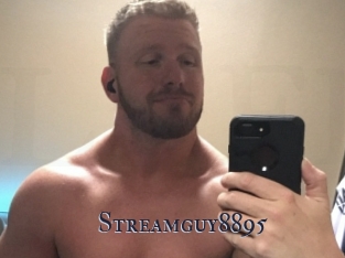 Streamguy8895