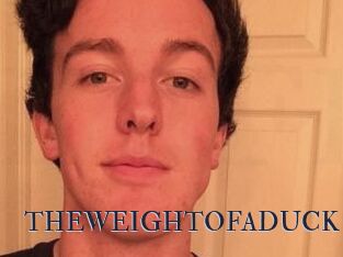 THEWEIGHTOFADUCK