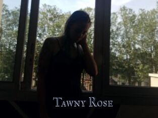Tawny_Rose