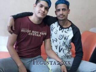 Tegusta29xx