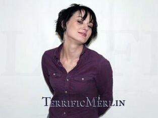 TerrificMerlin