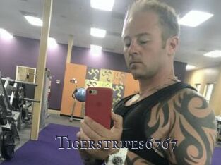 Tigerstripes6767