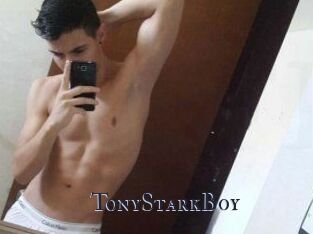 TonyStarkBoy