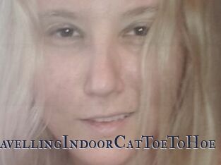 TravellingIndoorCatToeToHoe