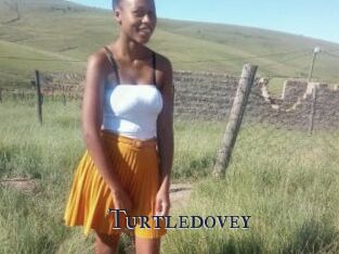 Turtledovey