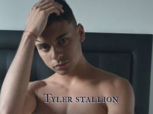 Tyler_stallion