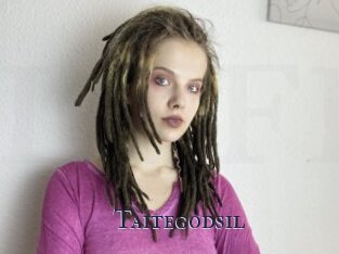 Taitegodsil