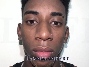Tammylambert