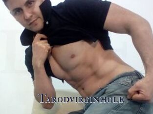 Tarodvirginhole