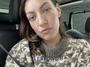 Terifinish
