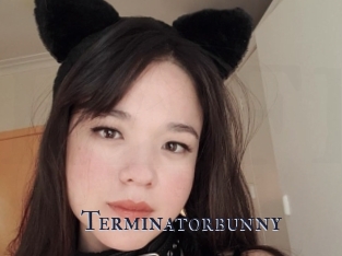Terminatorbunny