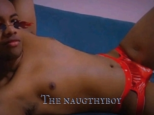 The_naugthyboy