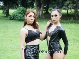 Theduofantasy