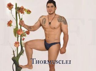 Thormuscle1