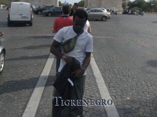 Tigrenegro