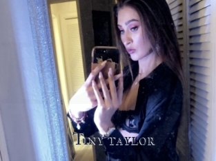 Tiny_taylor
