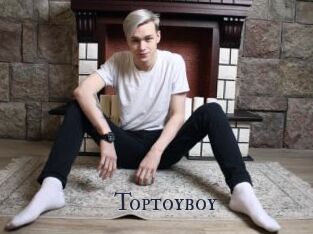 Toptoyboy