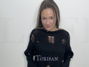 Torisan
