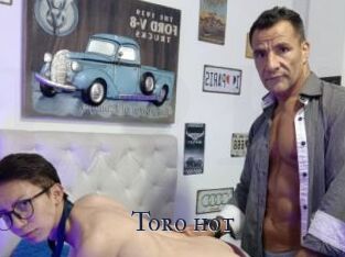 Toro_hot