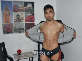 Torusd