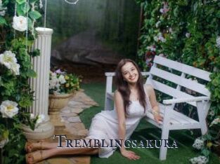 Tremblingsakura