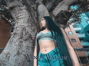 Venus_Walton