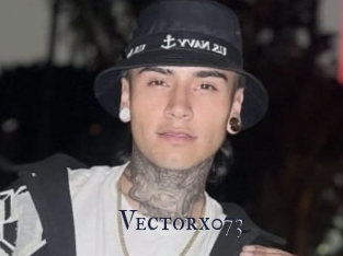 Vectorx073
