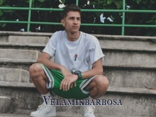 Velamikbarbosa