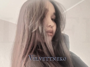 Velvettneko