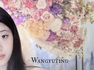 Wangyuting