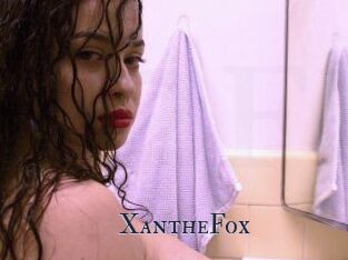Xanthe_Fox