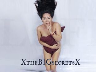 XtheBIGsecretsX