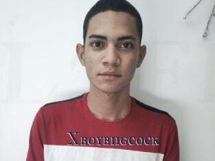 Xboybiigcock