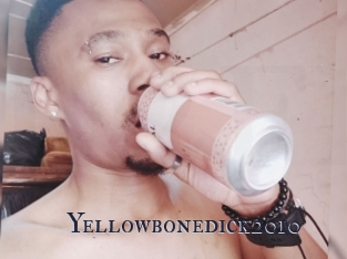 Yellowbonedick2010